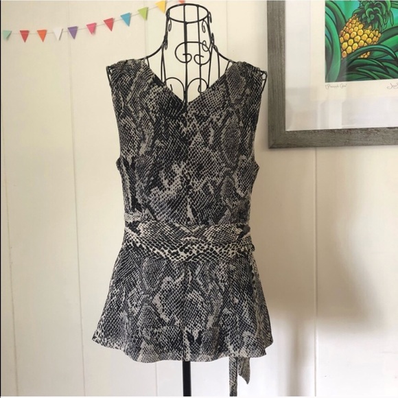 Express 🐍 Python Top - Picture 2 of 4